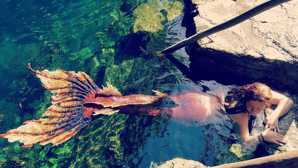 Name:  13782113_10100977835521951_6920754730942324526_n.jpg
Views: 777
Size:  120.6 KB