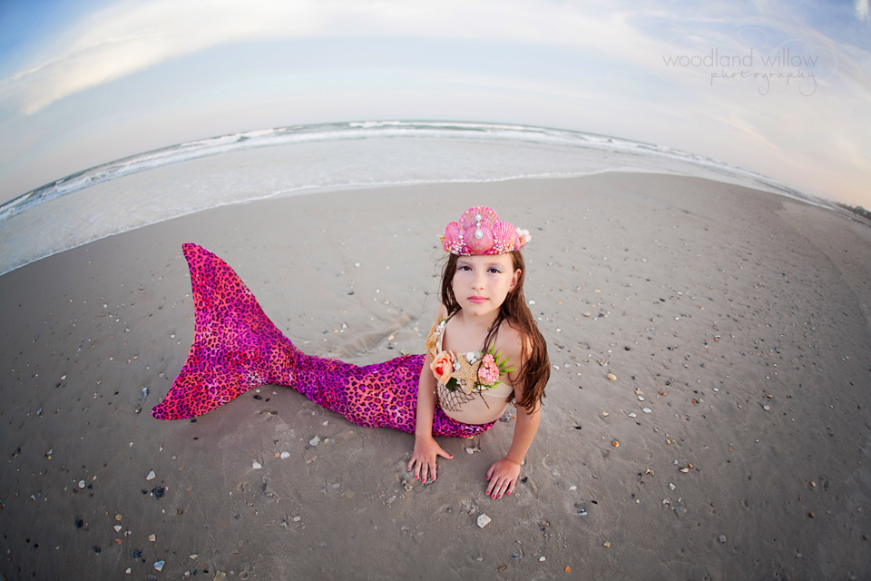 Name:  _MG_7681s.jpg
Views: 667
Size:  308.6 KB