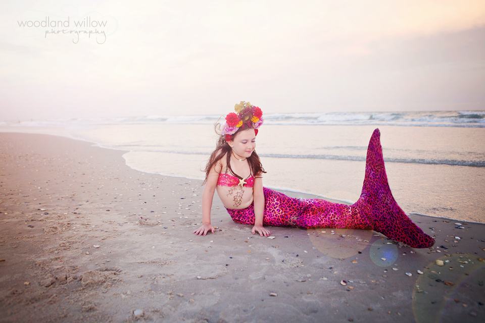 Name:  _MG_7734s.jpg
Views: 705
Size:  290.8 KB