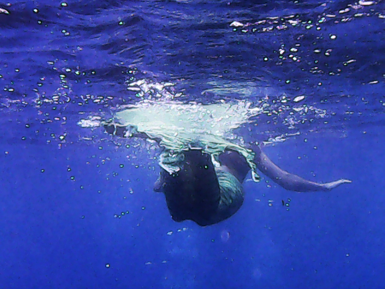 Name:  Under the surface.jpg
Views: 368
Size:  834.2 KB