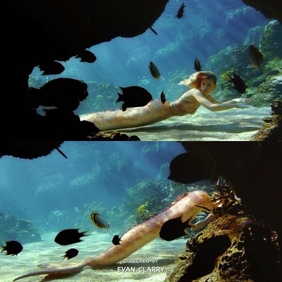 Name:  200f467817e3841bfa6d03617fd11213.jpg
Views: 1782
Size:  48.0 KB