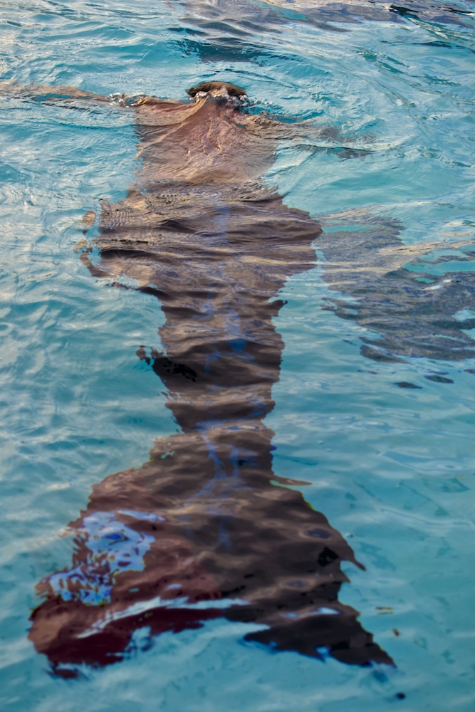Name:  DSC_2533.jpg
Views: 909
Size:  303.6 KB