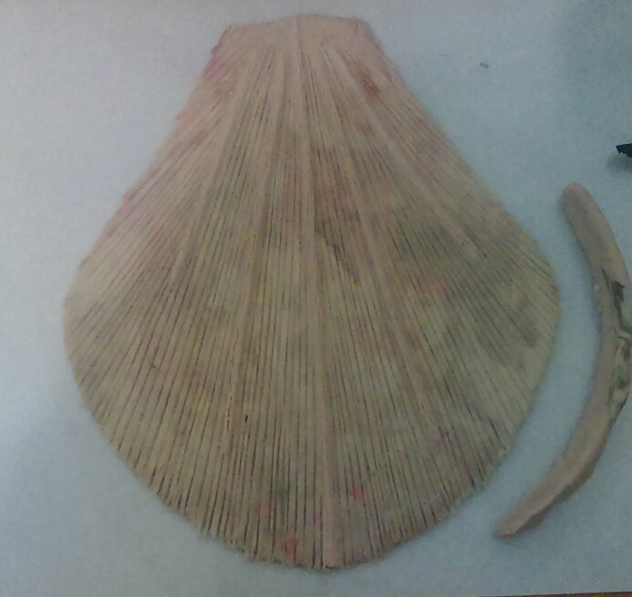 Name:  IMAG0050_1-693x655.jpg
Views: 826
Size:  68.5 KB