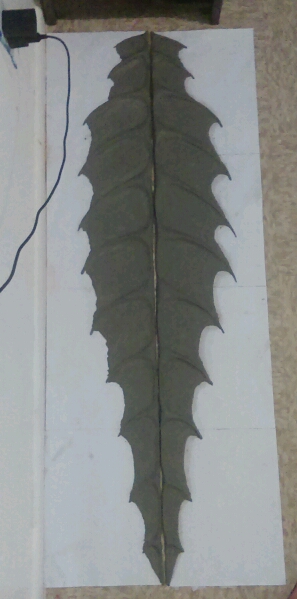Name:  IMAG0093_crop_297x599.jpg
Views: 671
Size:  120.0 KB