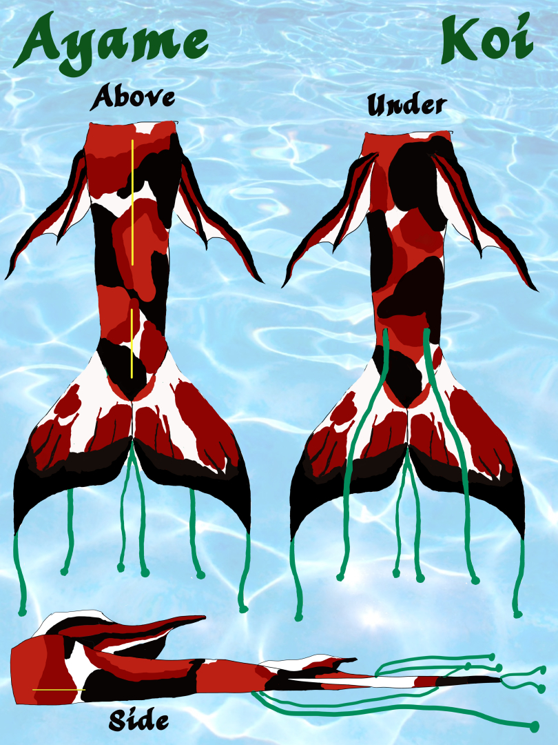 Name:  Ayame Tail Reference.jpg
Views: 764
Size:  857.5 KB