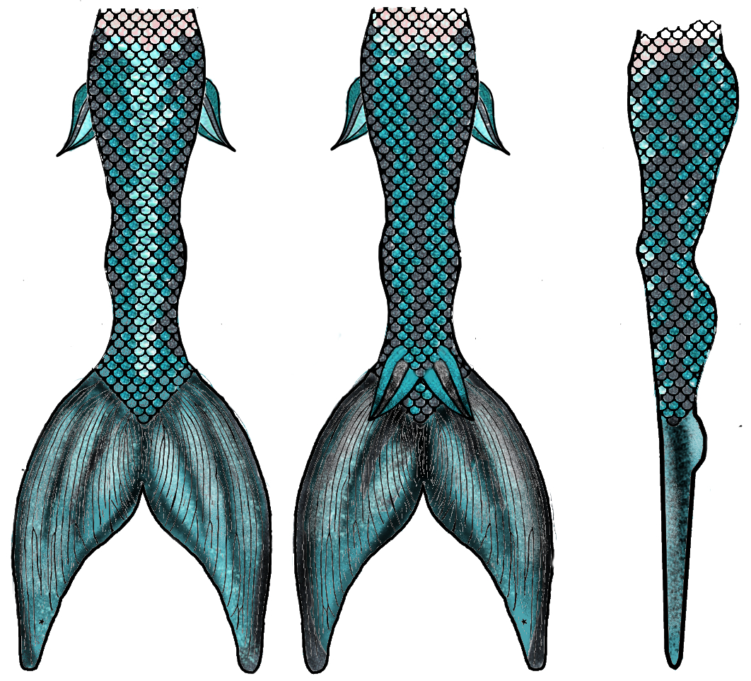 Name:  ogon.jpg
Views: 735
Size:  886.4 KB