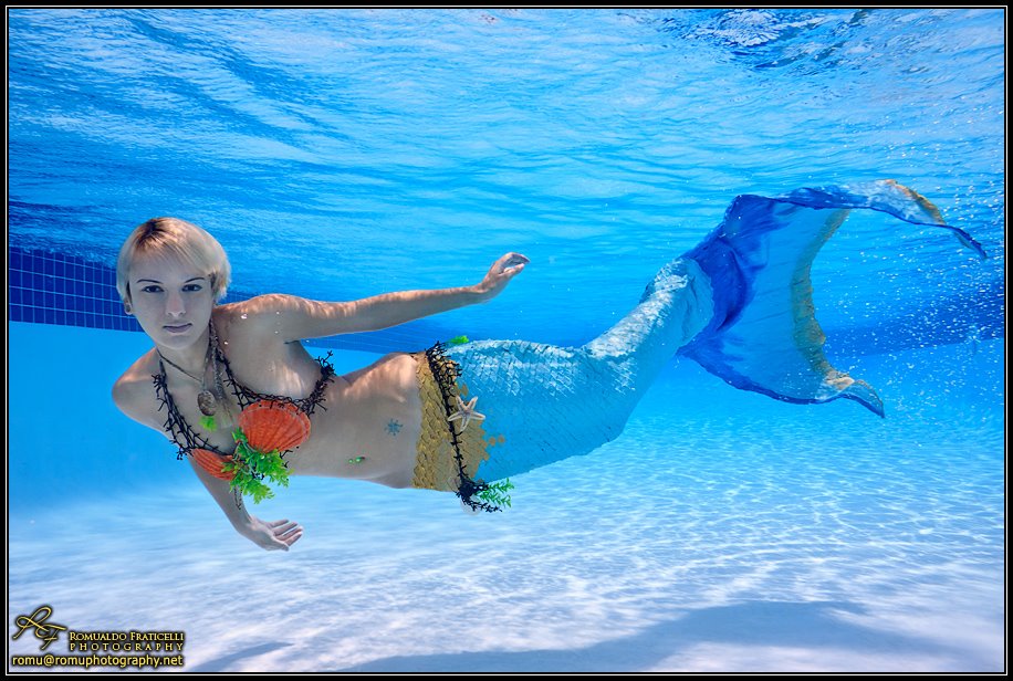 Name:  557690_295065037258905_292001158_n.jpg
Views: 1683
Size:  137.9 KB