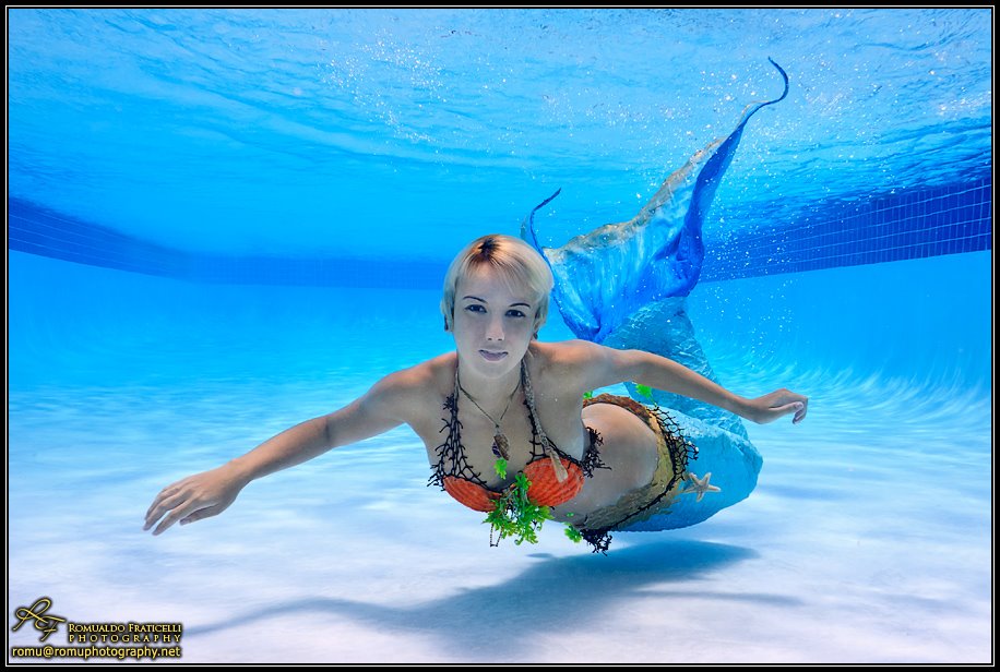 Name:  483146_295199430578799_1080945781_n.jpg
Views: 1720
Size:  105.5 KB