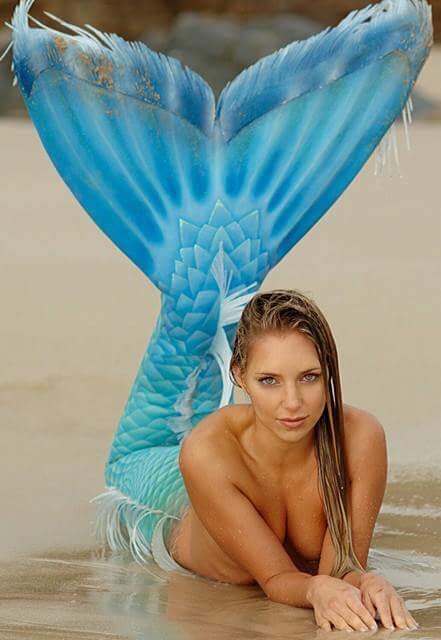 Name:  IMG_0157.JPG
Views: 501
Size:  62.9 KB