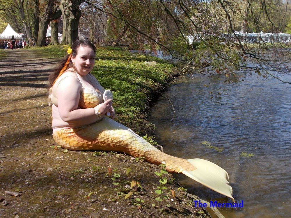 Name:  03.JPG
Views: 708
Size:  281.8 KB