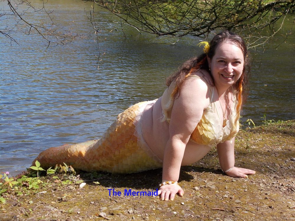 Name:  05.JPG
Views: 714
Size:  271.2 KB