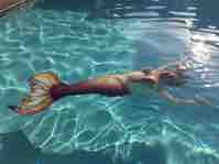 Name:  IMG_5441.JPG
Views: 385
Size:  3.3 KB