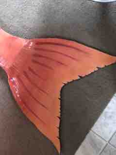 Name:  IMG_1751.JPG
Views: 780
Size:  4.4 KB