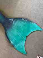 Name:  IMG_1760.JPG
Views: 722
Size:  2.4 KB