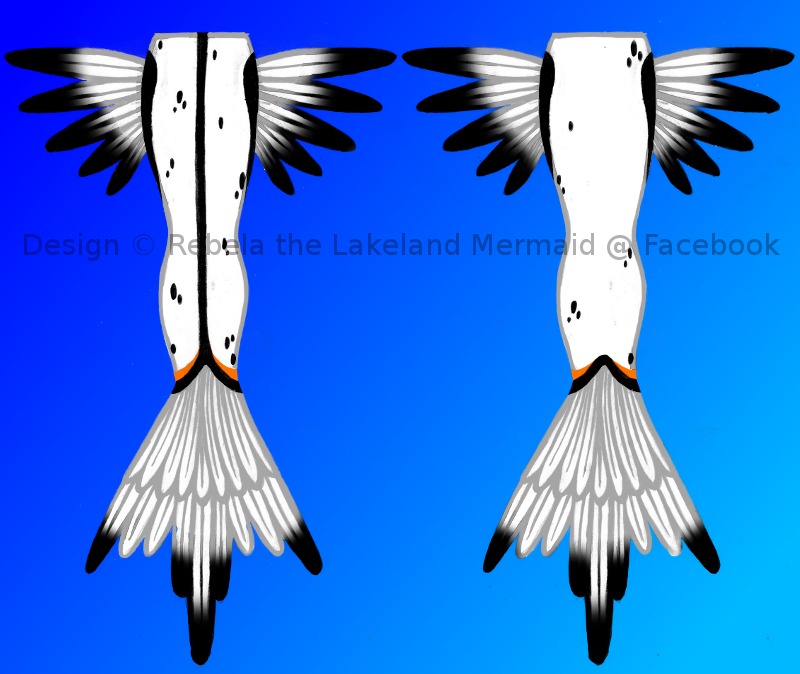 Name:  resize 2.png
Views: 483
Size:  326.4 KB