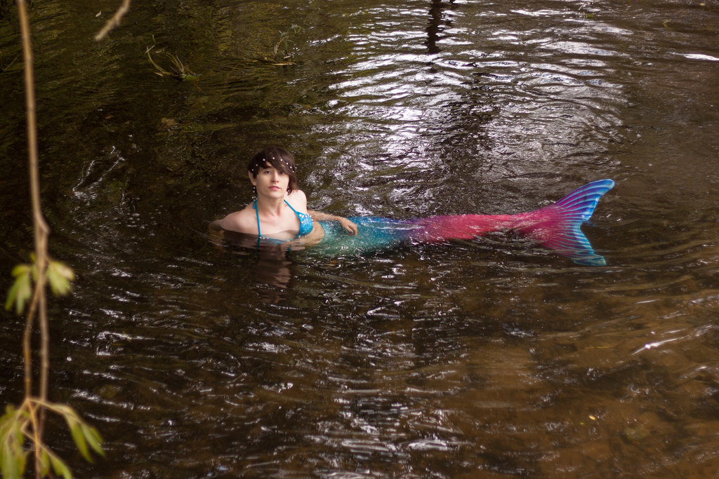 Name:  swim.jpg
Views: 740
Size:  253.6 KB