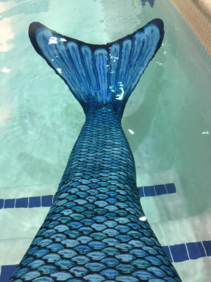Name:  MermaidTailReal.jpg
Views: 657
Size:  86.1 KB