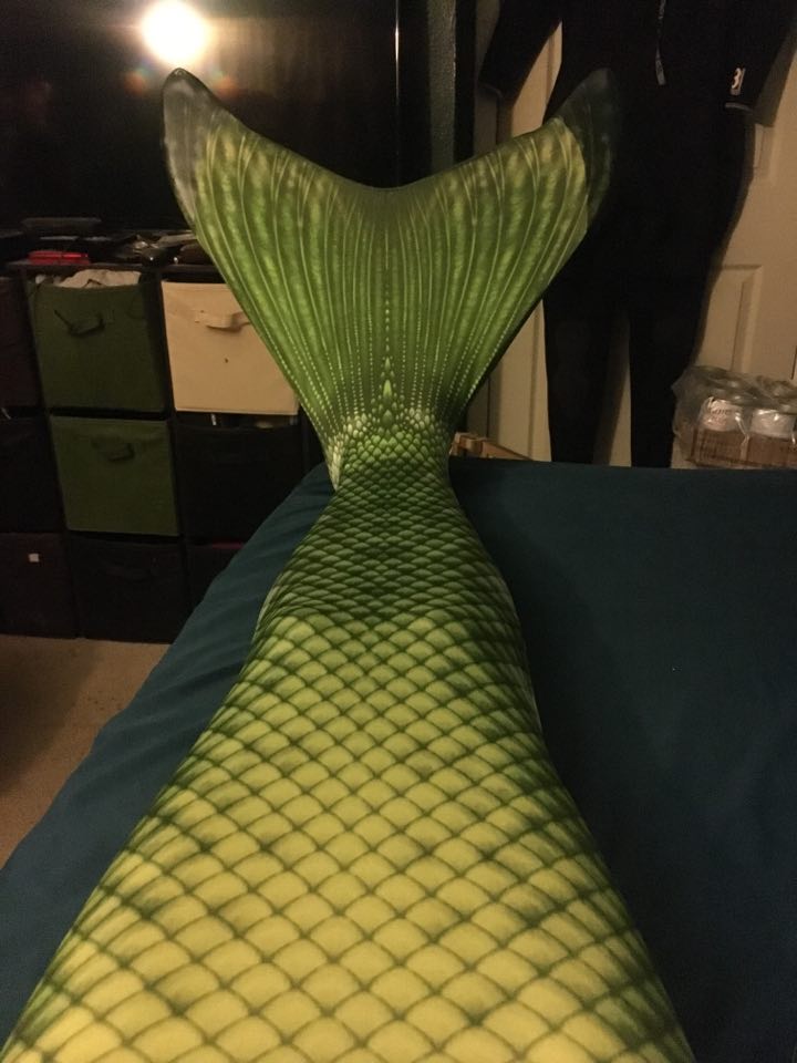 Name:  tail.jpg
Views: 630
Size:  73.7 KB