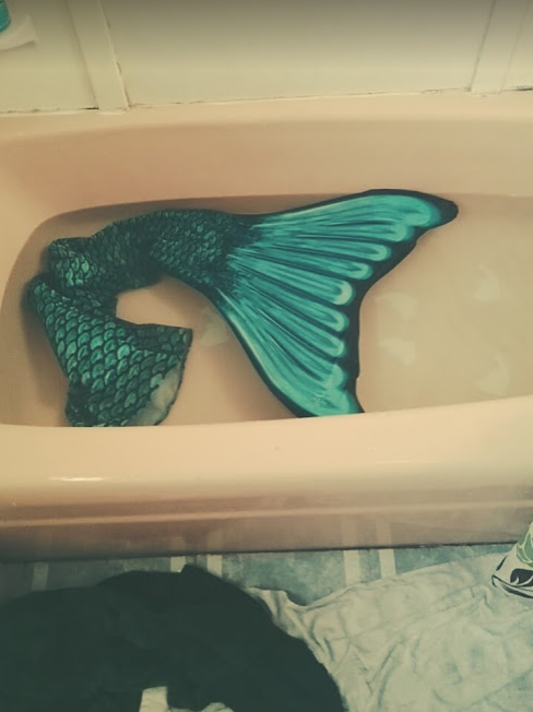 Name:  show us ur tails 1.PNG
Views: 912
Size:  396.8 KB