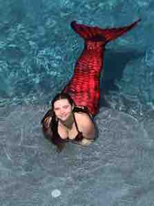 Name:  IMG_6243.JPG
Views: 652
Size:  5.5 KB