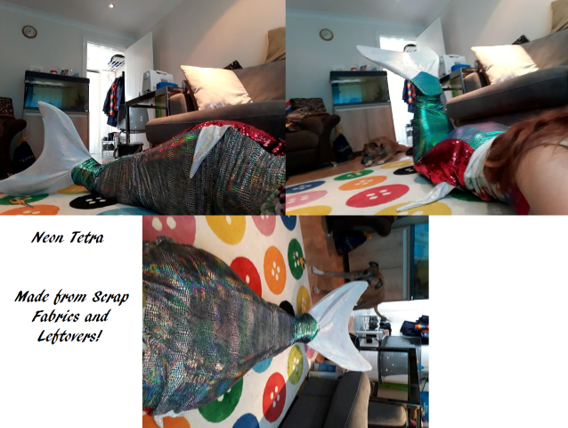 Name:  Neontetramontage (Small).png
Views: 645
Size:  478.1 KB