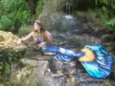 Name:  IMG_2319.JPG
Views: 802
Size:  4.6 KB