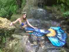 Name:  IMG_2323.JPG
Views: 803
Size:  4.5 KB