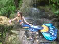 Name:  IMG_2321.JPG
Views: 777
Size:  4.5 KB