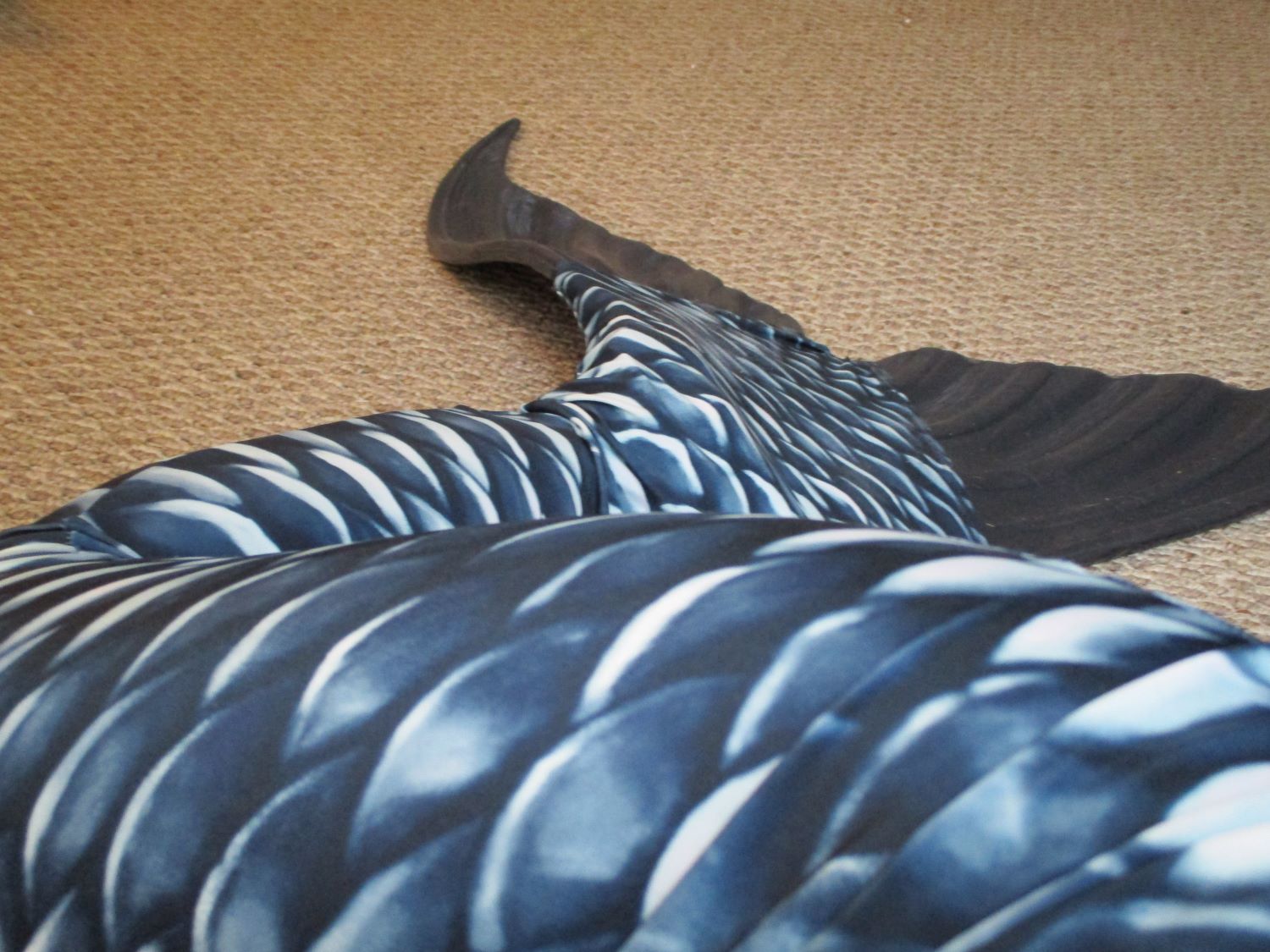 Name:  sitting tail.JPG
Views: 678
Size:  231.2 KB