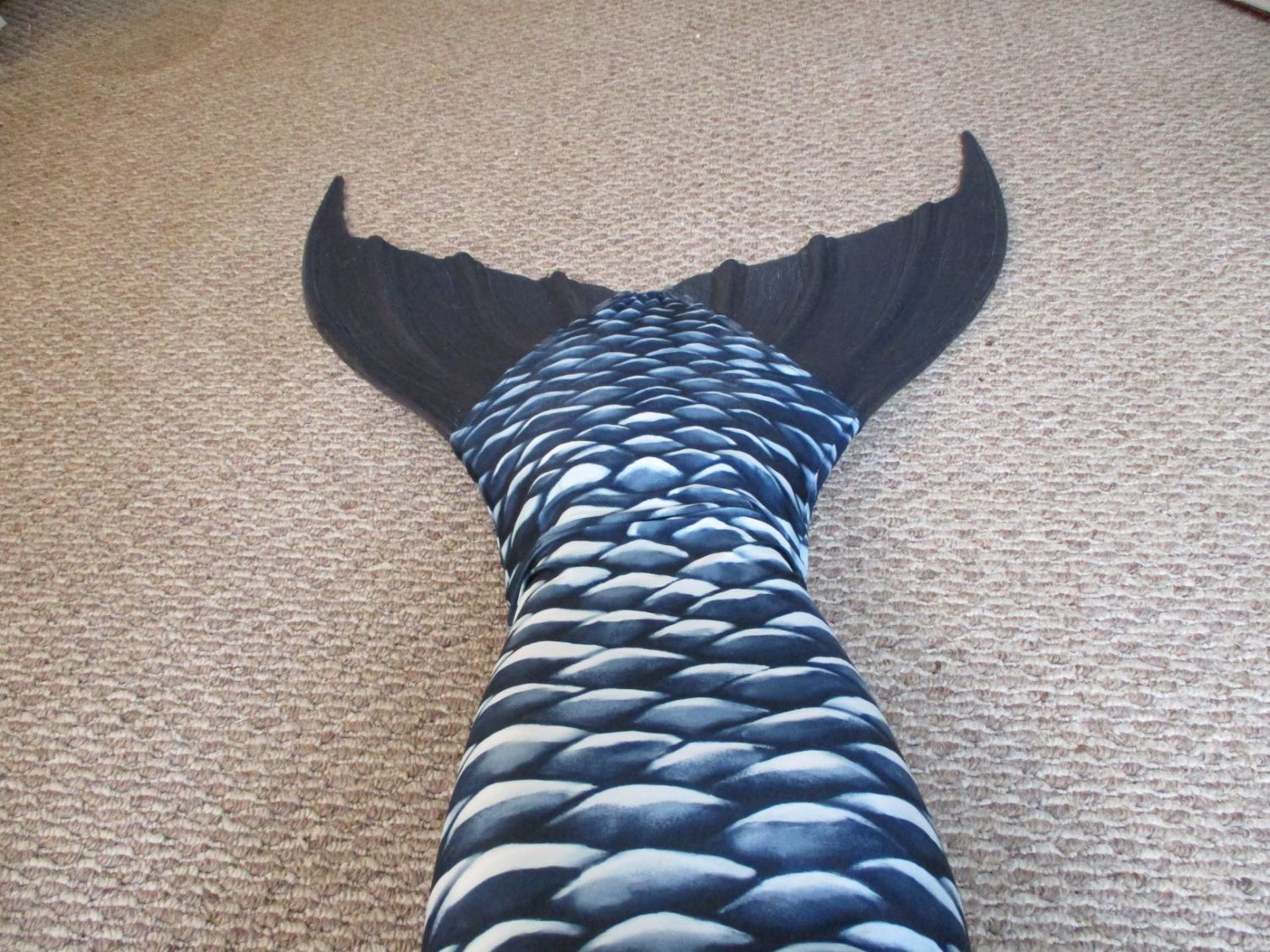 Name:  half tail.JPG
Views: 706
Size:  339.5 KB