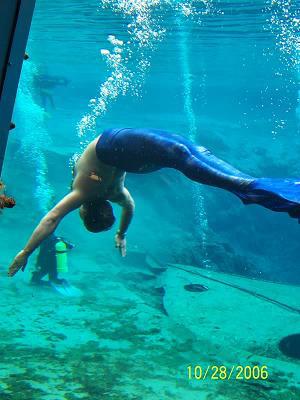 Name:  547774_3517460857376_1969354706_n.jpg
Views: 9844
Size:  23.4 KB