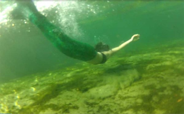 Name:  wekiwa_06.jpg
Views: 1937
Size:  62.9 KB