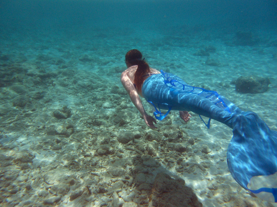 Name:  mermaid_azurin_4_by_fayola-d5bfict.jpg
Views: 1898
Size:  173.9 KB