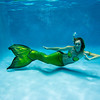 Name:  underwater.jpg
Views: 1460
Size:  7.9 KB