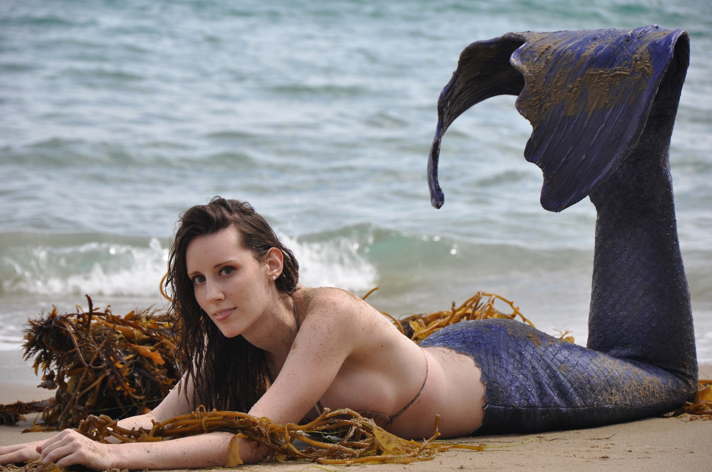 Name:  mer1b.jpg
Views: 2068
Size:  463.8 KB