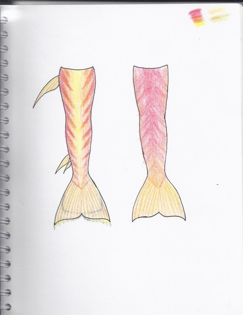 Name:  Scan-1-1.jpg
Views: 6388
Size:  37.8 KB