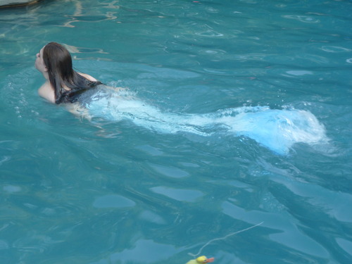 Name:  tumblr_m86q33zFAa1r28nn5o1_500.jpg
Views: 1797
Size:  76.9 KB