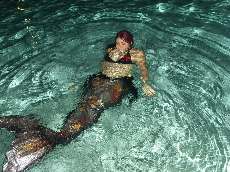 Name:  KoiPondSwim.jpg
Views: 2016
Size:  202.1 KB