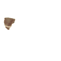 Name:  looneytunes37.gif
Views: 225
Size:  24.4 KB