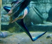 Name:  6099420554_c293da8987_b - Copia.jpg
Views: 160
Size:  15.1 KB