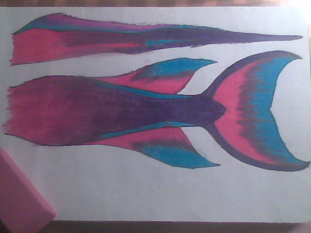 Name:  Image005.jpg
Views: 4275
Size:  72.2 KB