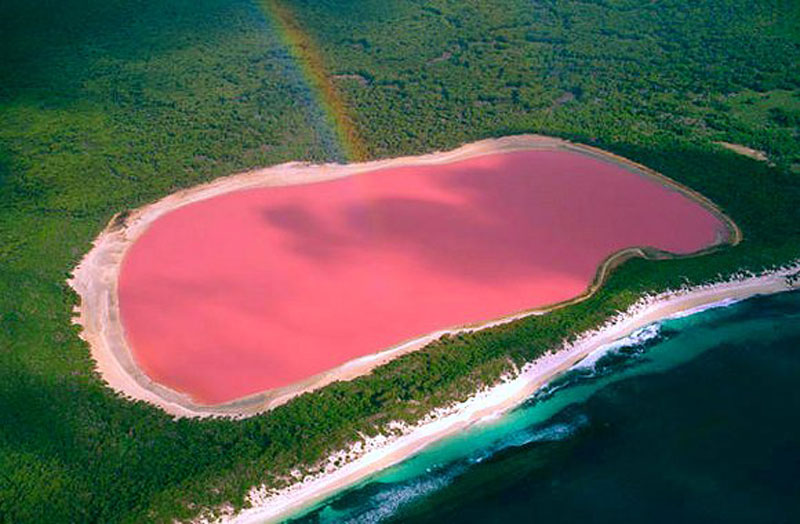 Name:  lake-hillier-pink-lake-in-australia-4.jpg
Views: 1454
Size:  92.9 KB