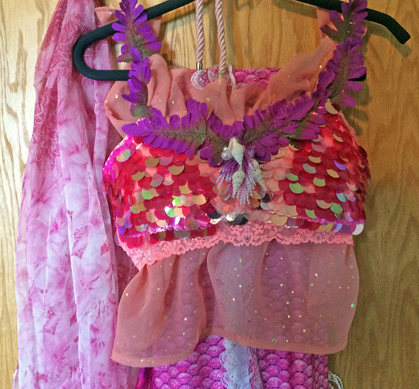 Name:  Coral gardens costume2a.jpg
Views: 836
Size:  624.1 KB
