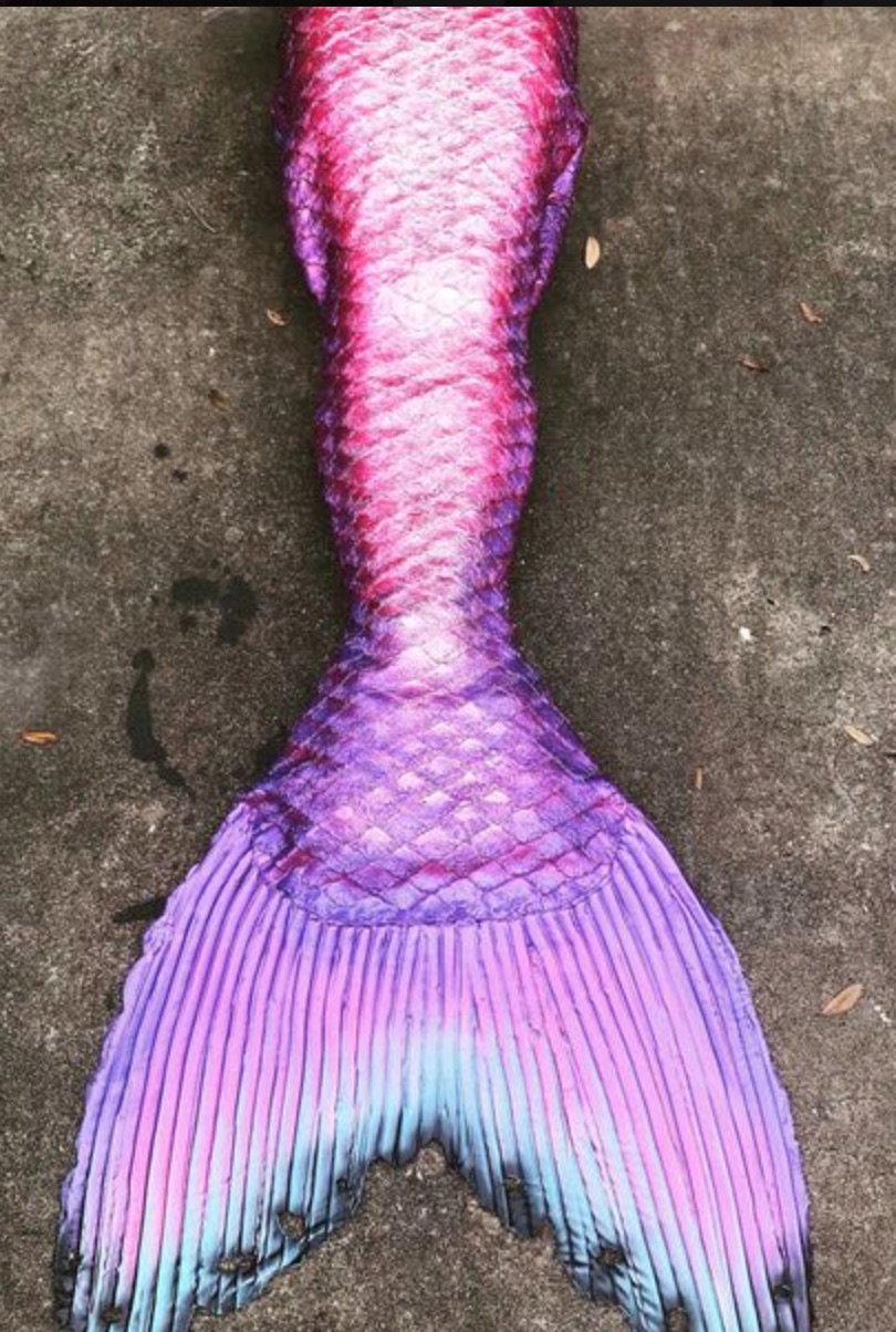 Name:  Mercedes Mermaid Tail.jpg
Views: 460
Size:  316.0 KB