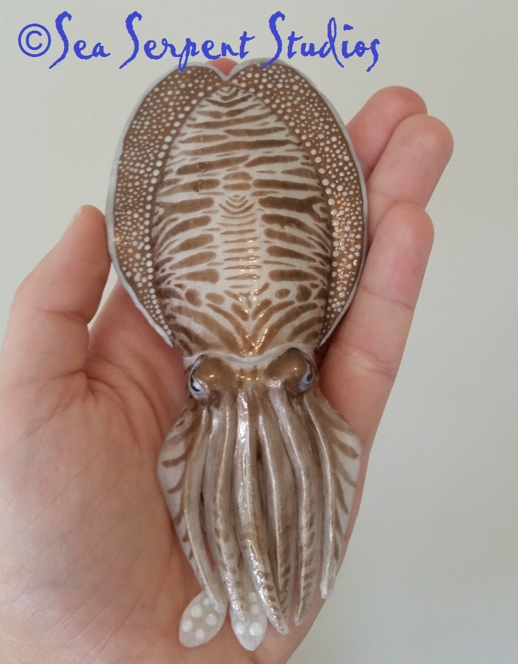 Name:  cuttlefish new.jpg
Views: 813
Size:  146.3 KB