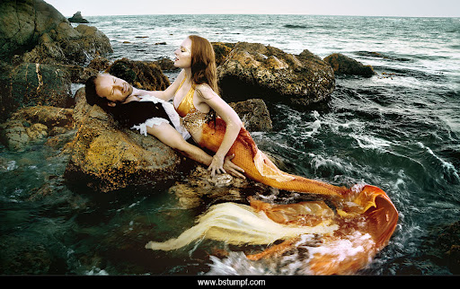 Name:  fabric mermaid.jpg
Views: 431
Size:  102.4 KB