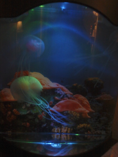 Name:  Jellyfish lamp!.jpg
Views: 355
Size:  51.9 KB