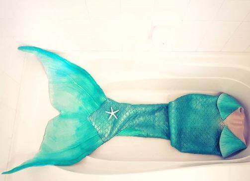 Name:  mermaid tail 1.JPG
Views: 1307
Size:  25.0 KB