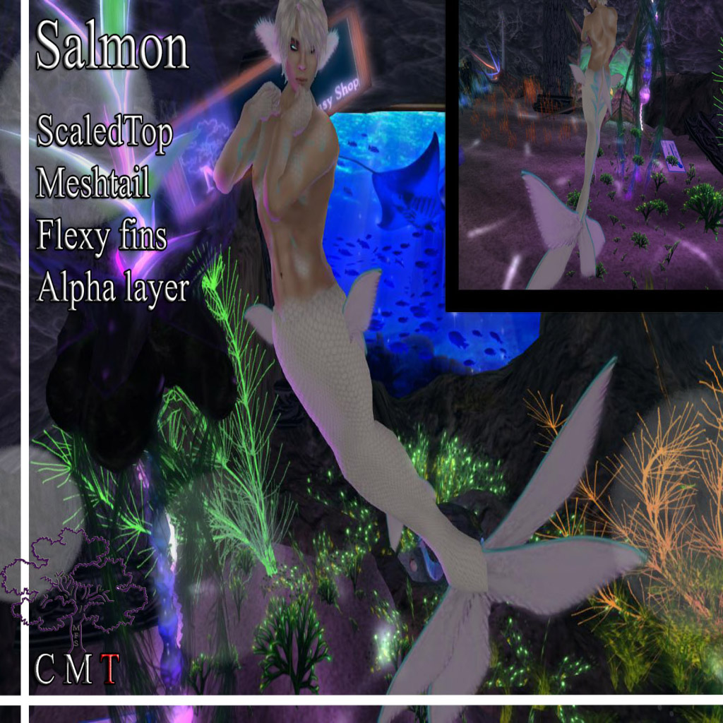 Name:  Salmon mer Avatar Advertisement 1.jpg
Views: 720
Size:  317.8 KB