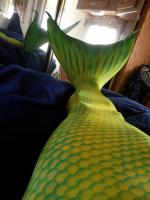 lamplighter's Avatar